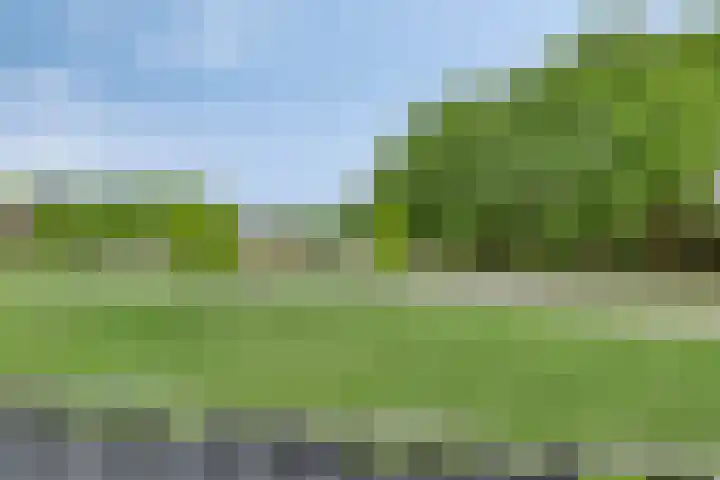 Riemdonk 17 C Maastricht thumbnail 26