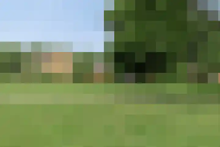 Riemdonk 17 C Maastricht thumbnail 33