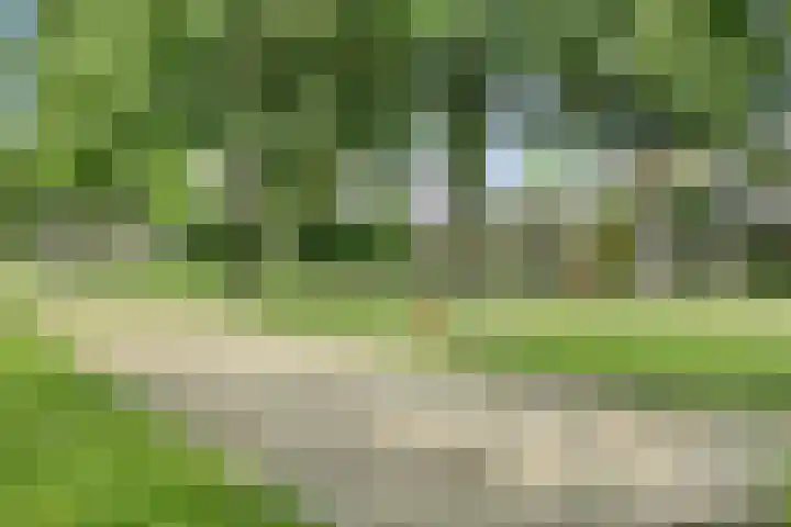 Riemdonk 17 C Maastricht thumbnail 34