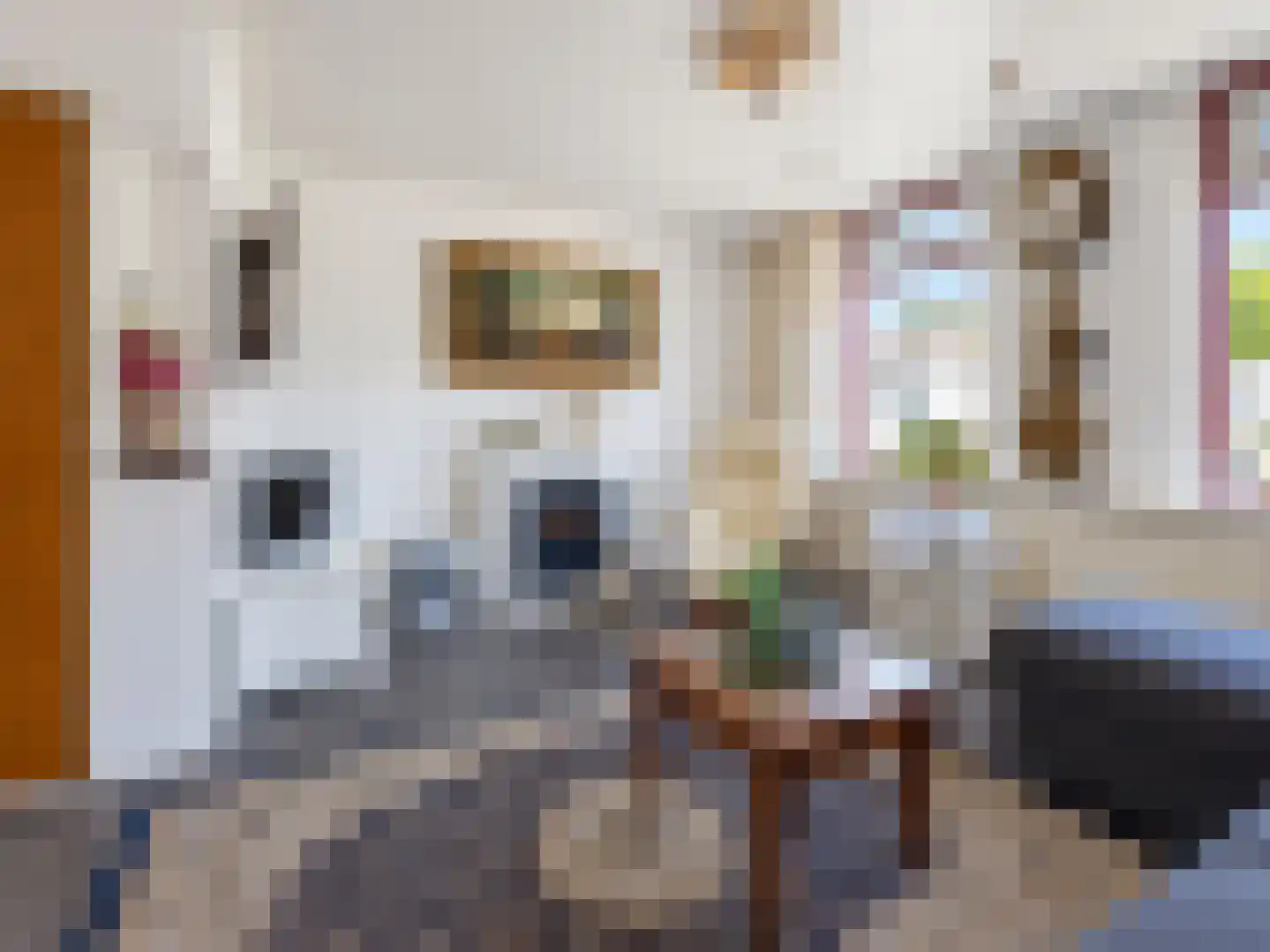 Riemensstraat 8 Zaamslag thumbnail 11