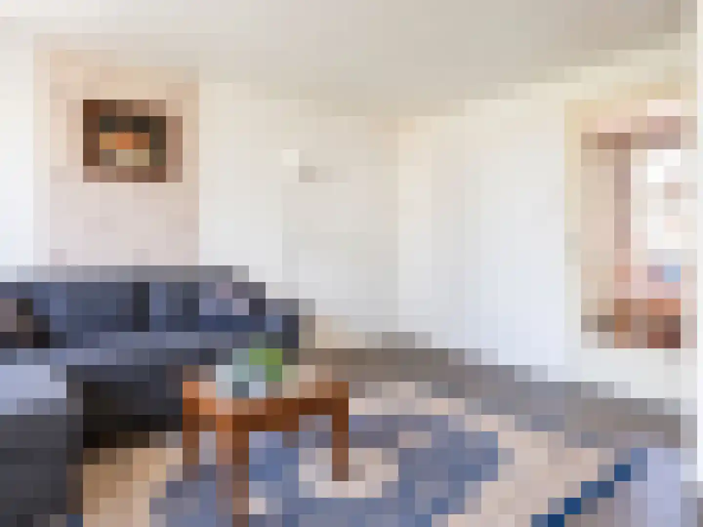 Riemensstraat 8 Zaamslag thumbnail 12