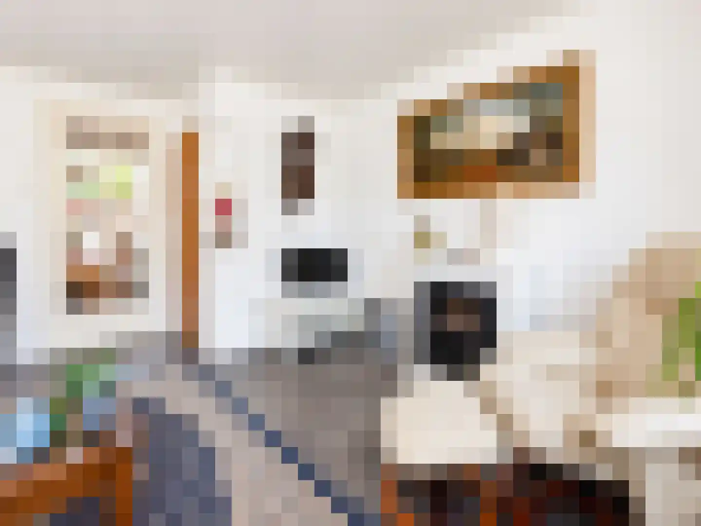 Riemensstraat 8 Zaamslag thumbnail 13