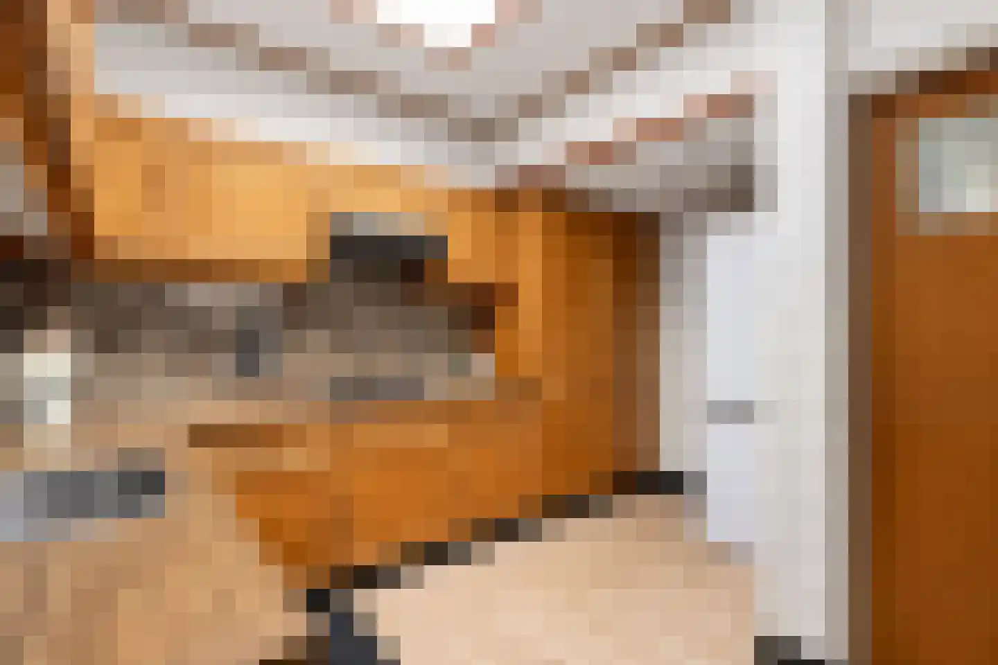 Riemensstraat 8 Zaamslag thumbnail 17