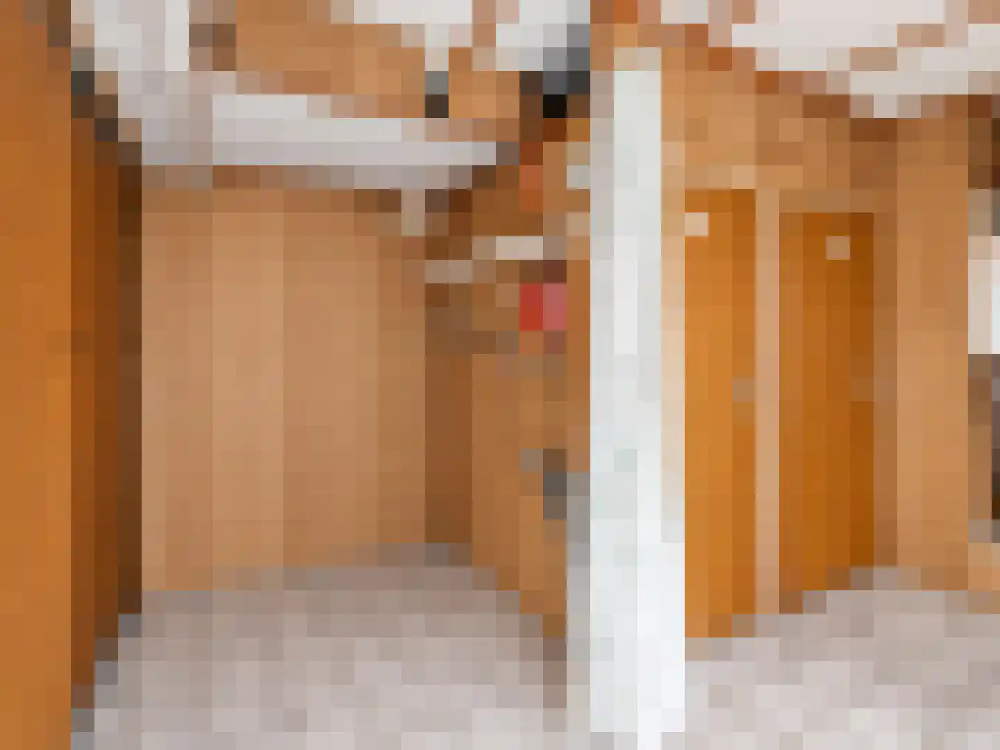 Riemensstraat 8 Zaamslag thumbnail 20