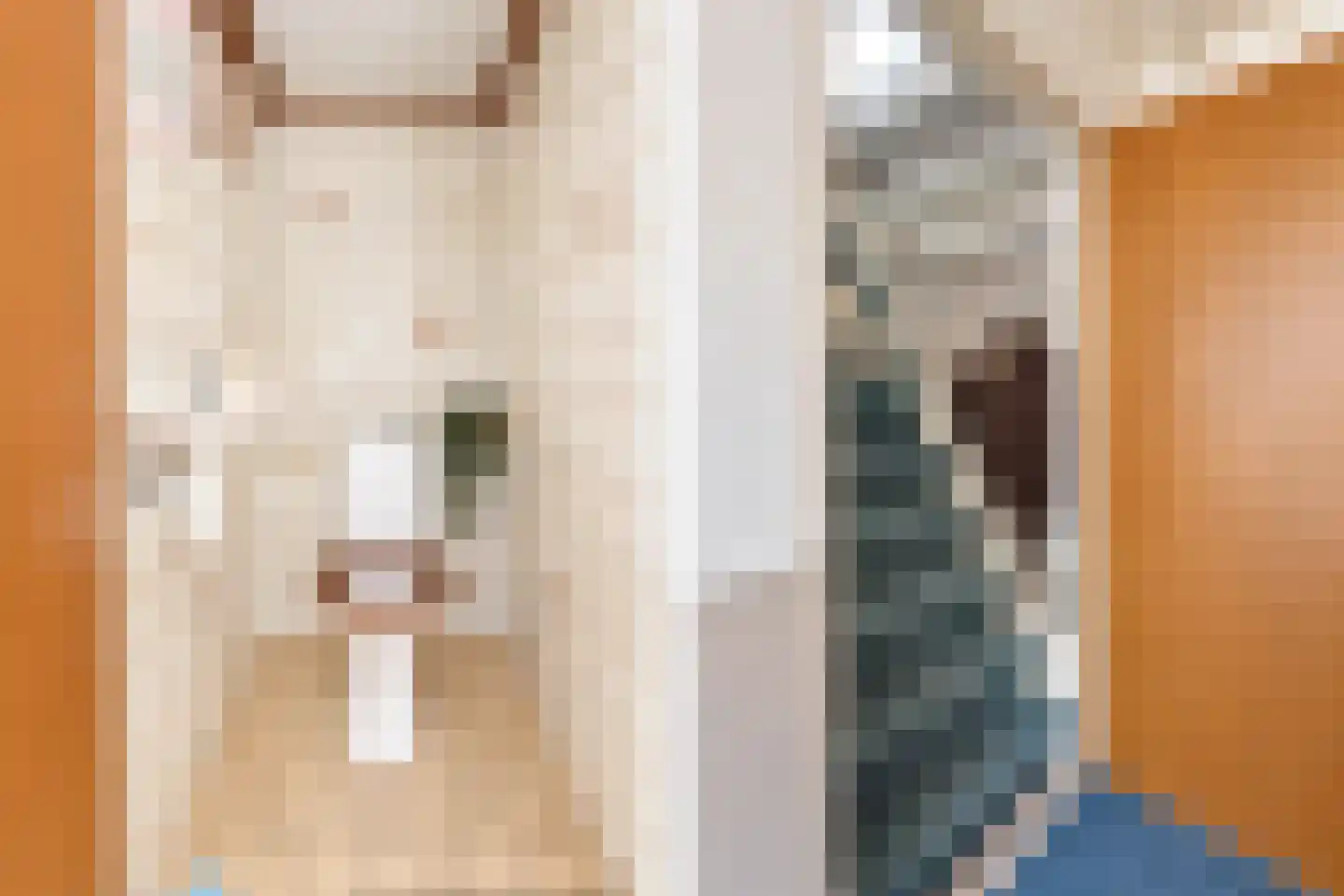 Riemensstraat 8 Zaamslag thumbnail 25