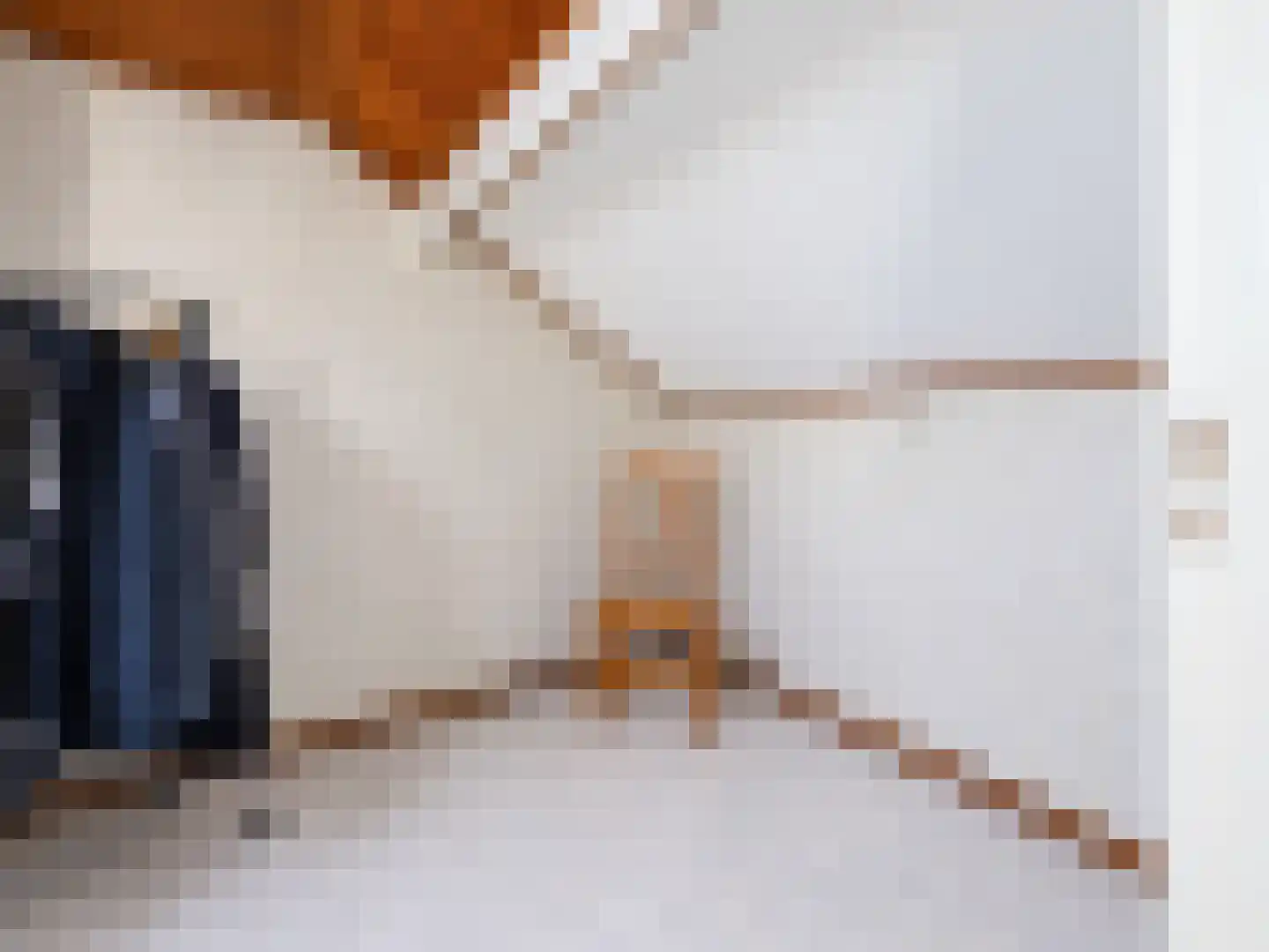 Riemensstraat 8 Zaamslag thumbnail 29