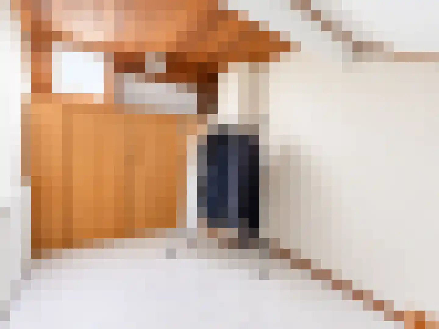 Riemensstraat 8 Zaamslag thumbnail 30