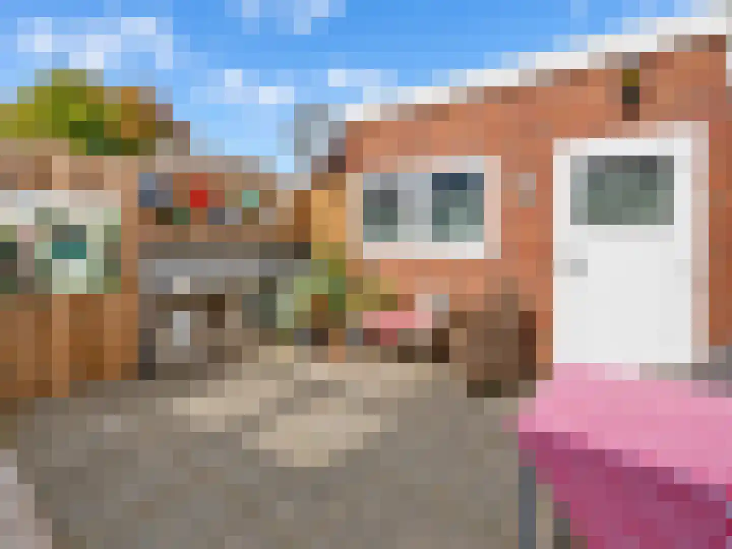 Riemensstraat 8 Zaamslag thumbnail 33