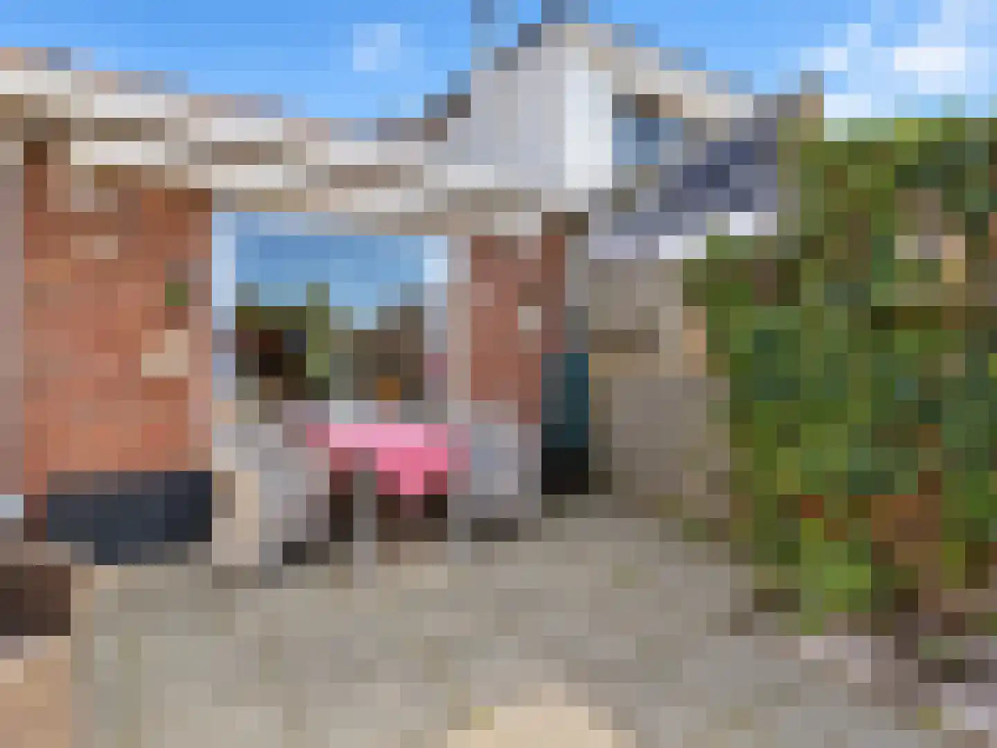 Riemensstraat 8 Zaamslag thumbnail 34