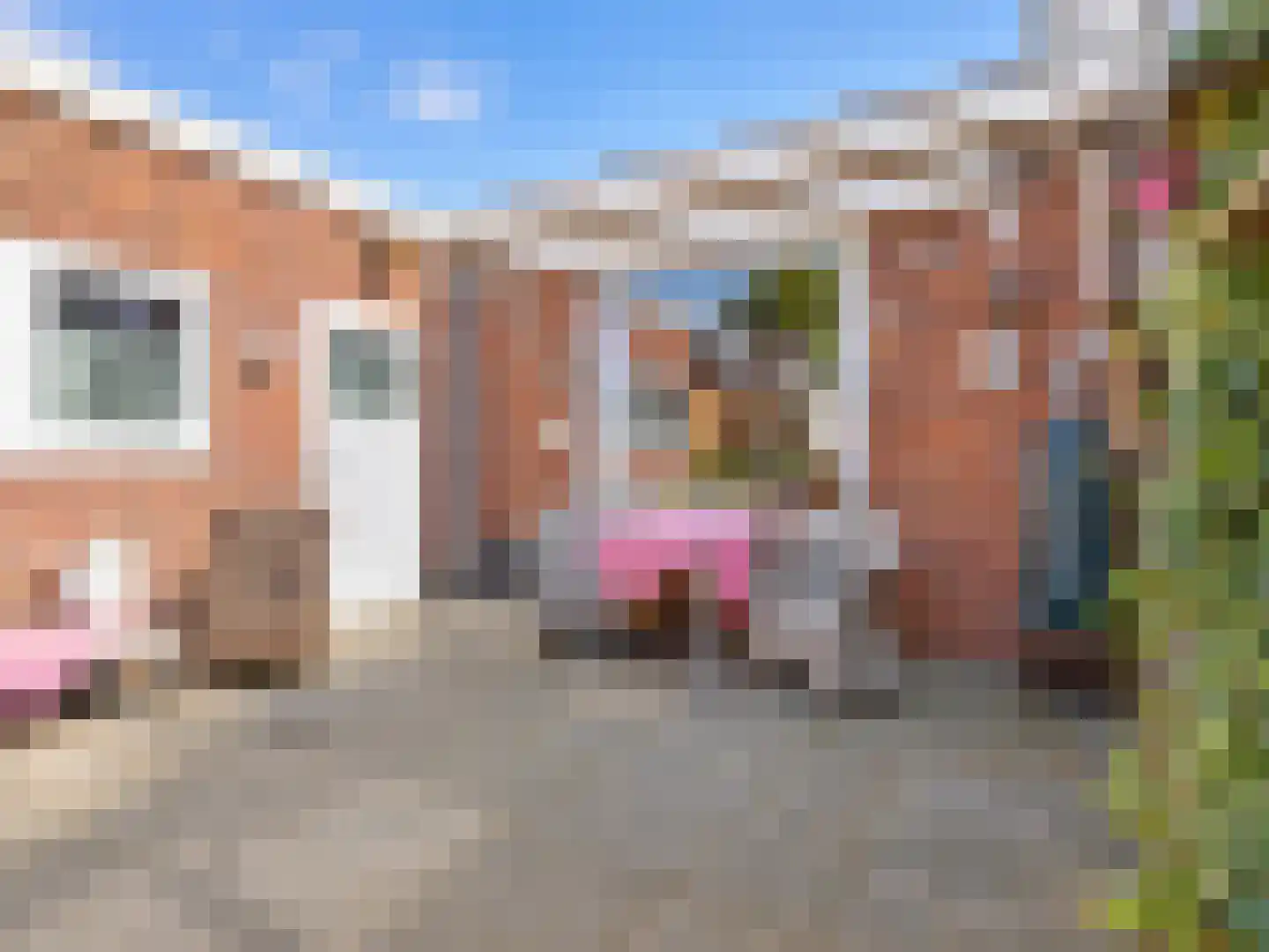 Riemensstraat 8 Zaamslag thumbnail 4