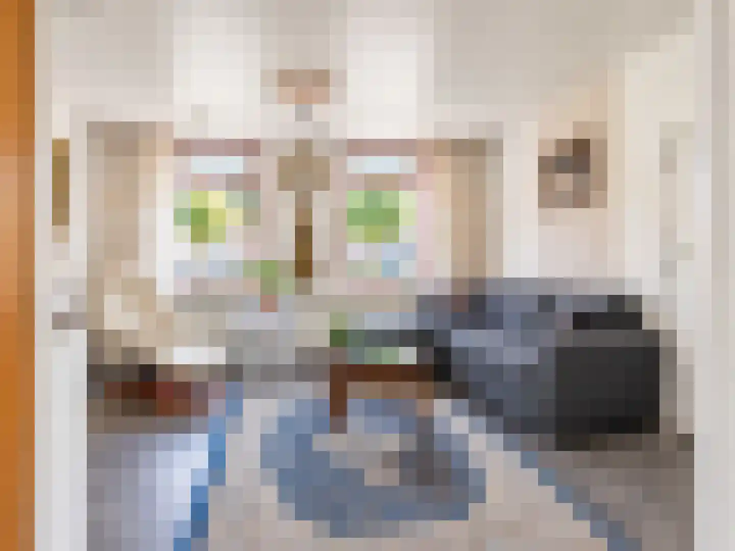 Riemensstraat 8 Zaamslag thumbnail 9