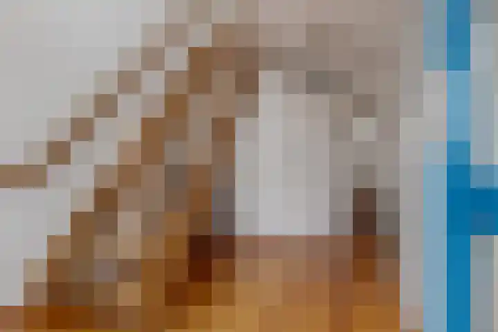 Riemsnijder 1 Roden thumbnail 13