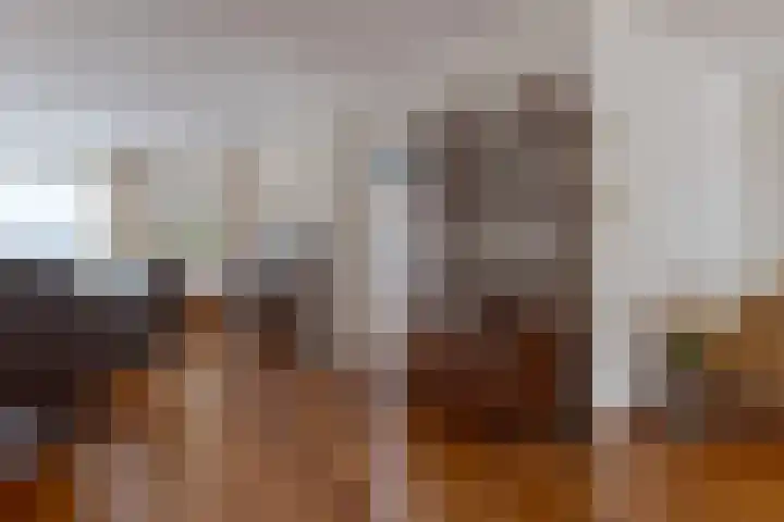 Riemsnijder 1 Roden thumbnail 14