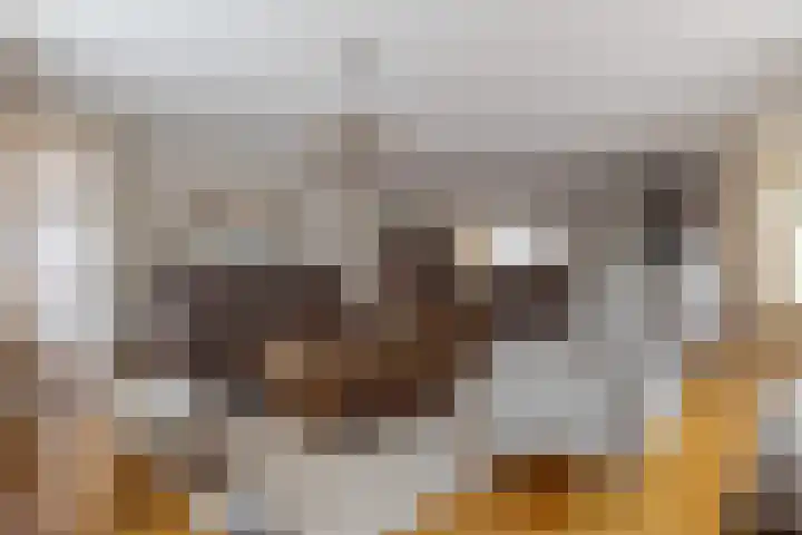 Riemsnijder 1 Roden thumbnail 17