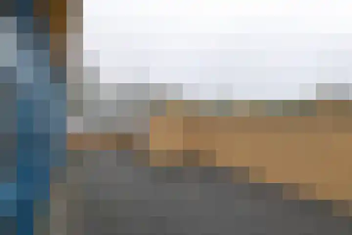 Riemsnijder 1 Roden thumbnail 4