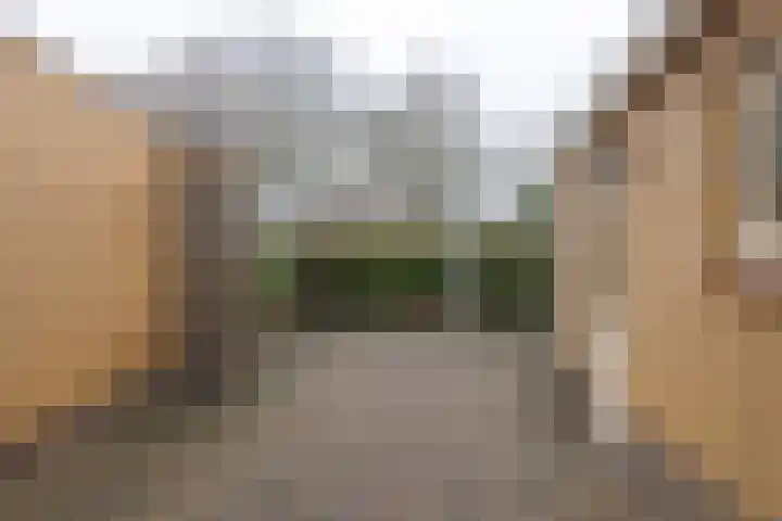 Riemsnijder 1 Roden thumbnail 42
