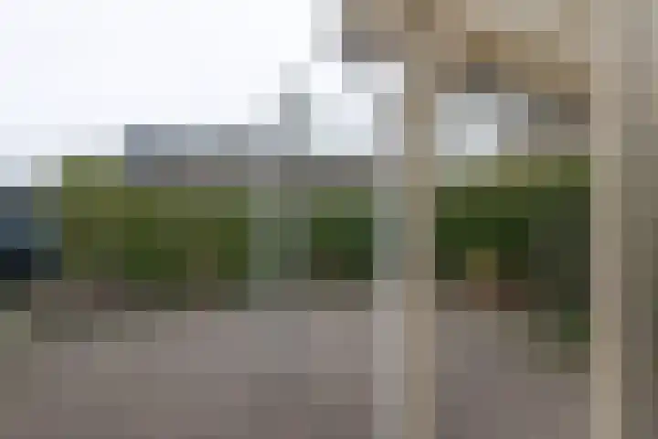 Riemsnijder 1 Roden thumbnail 45
