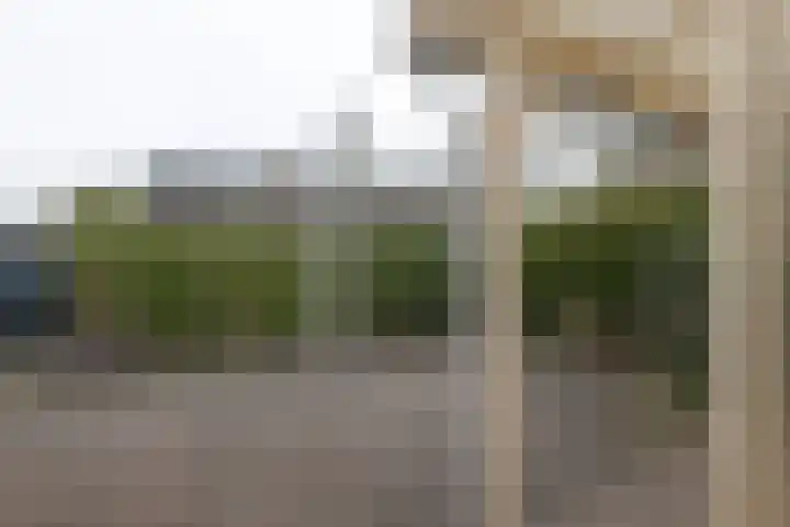 Riemsnijder 1 Roden thumbnail 46