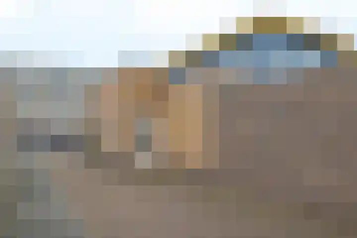 Riemsnijder 1 Roden thumbnail 7
