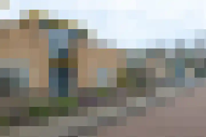 Riemsnijder 1 Roden thumbnail 9
