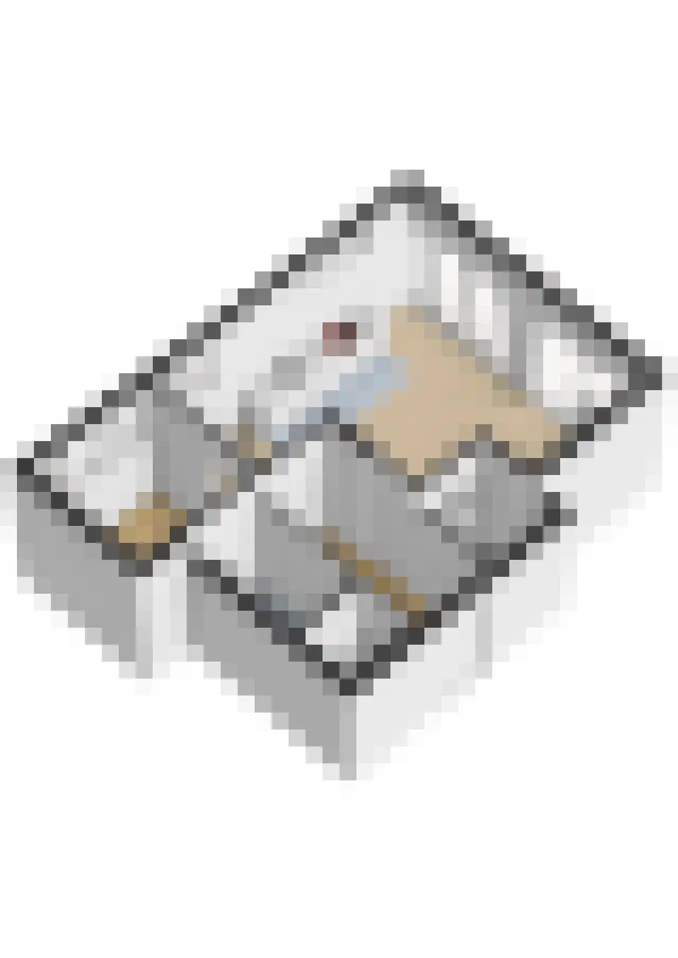 Rienck Bockemakade 10 A Sneek thumbnail 29