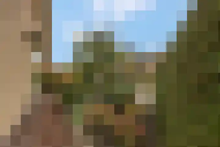 Rienderstein 11 Ede thumbnail 10