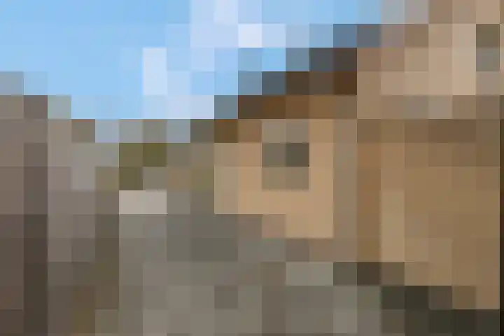 Rienderstein 11 Ede thumbnail 12