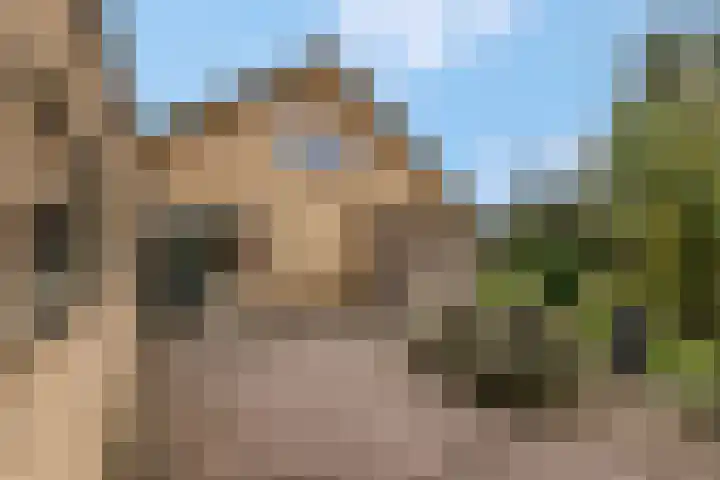 Rienderstein 11 Ede thumbnail 13