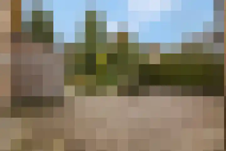 Rienderstein 11 Ede thumbnail 14