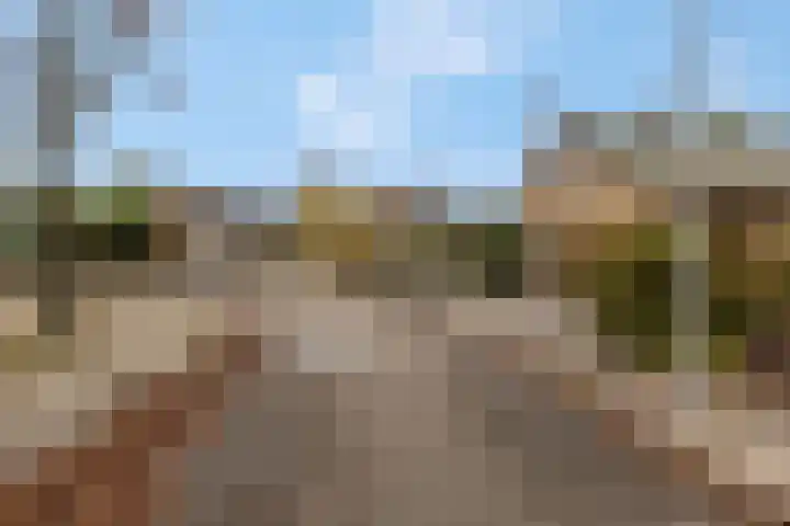 Rienderstein 11 Ede thumbnail 7