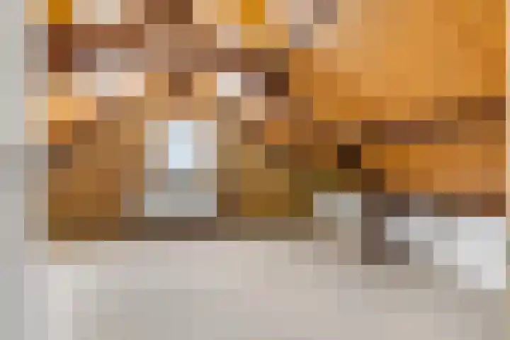 Rienderstein 4 Ede thumbnail 27