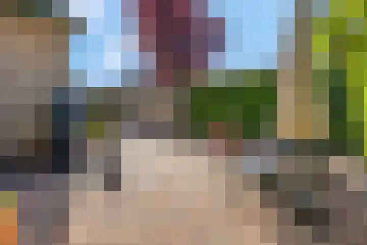 Rienderstein 4 Ede thumbnail 32