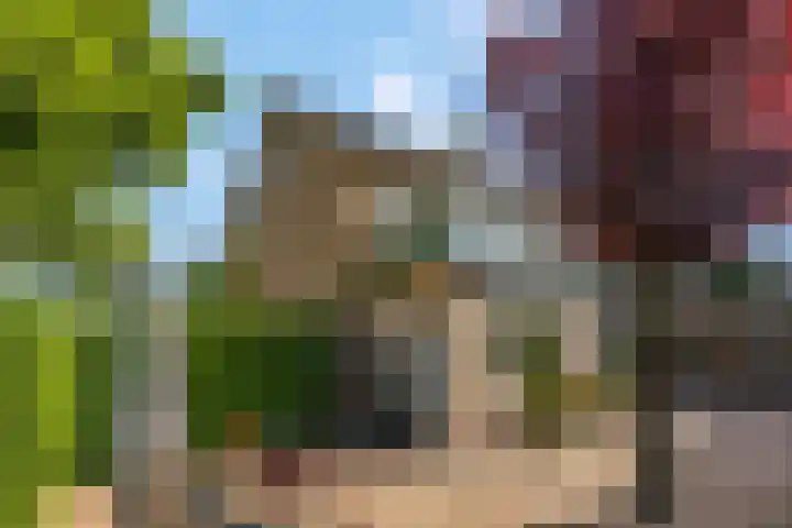 Rienderstein 4 Ede thumbnail 33