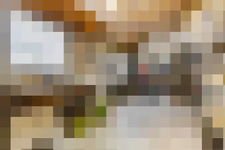 Rienderstein 4 Ede thumbnail 36
