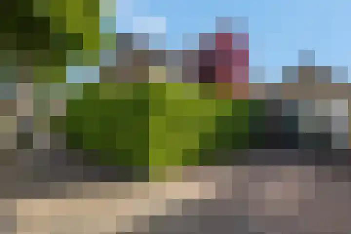 Rienderstein 4 Ede thumbnail 38