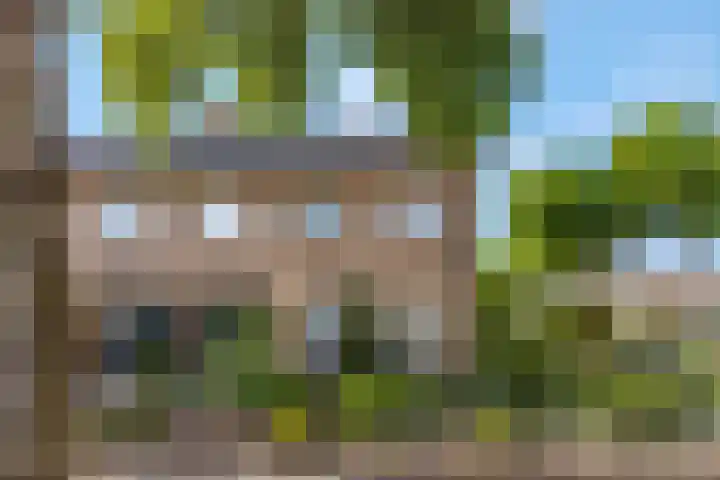 Rienderstein 4 Ede thumbnail 39