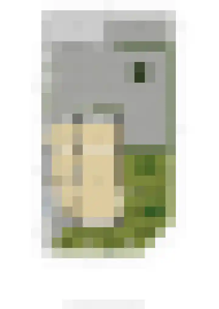 Rienderstein 4 Ede thumbnail 46