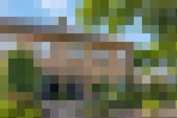 Rienderstein 4 Ede thumbnail 48