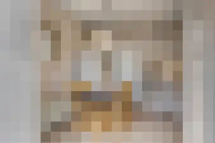 Rienderstein 4 Ede thumbnail 9