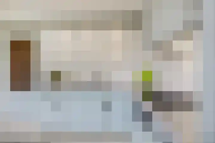 Rienderstein 9 Ede thumbnail 11