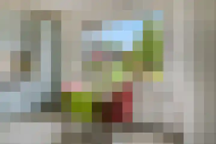 Rienderstein 9 Ede thumbnail 12