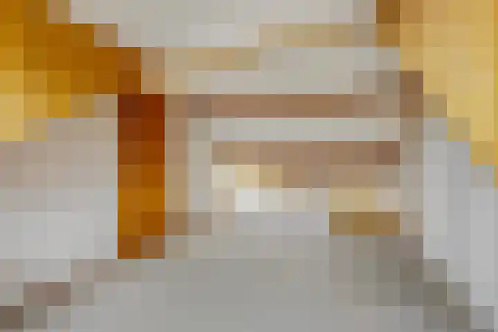 Rienderstein 9 Ede thumbnail 22