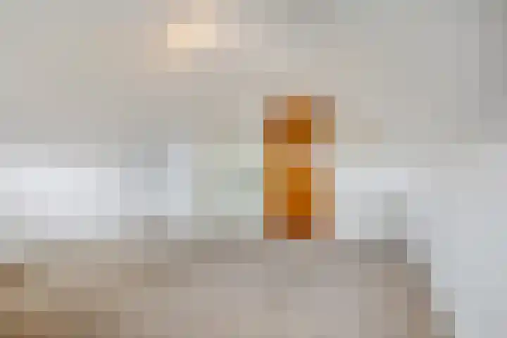 Rienderstein 9 Ede thumbnail 27