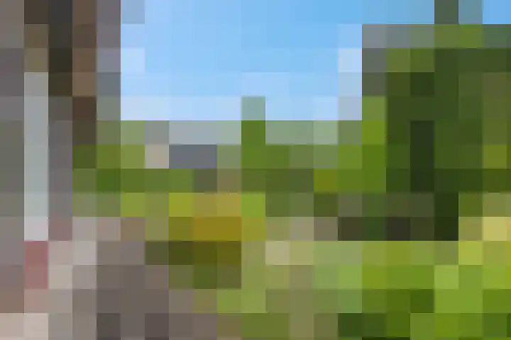 Rienderstein 9 Ede thumbnail 35