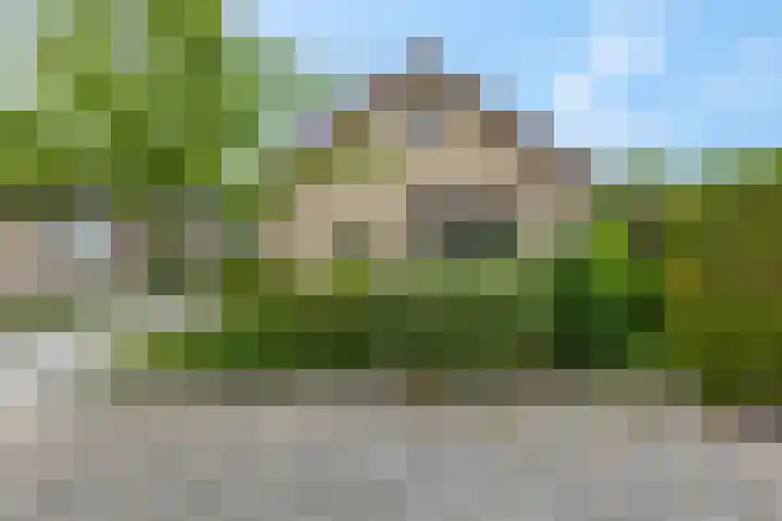 Rienderstein 9 Ede thumbnail 39