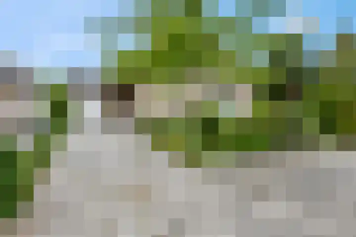 Rienderstein 9 Ede thumbnail 42