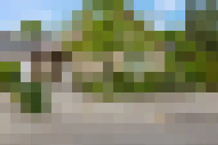 Rienderstein 9 Ede thumbnail 43
