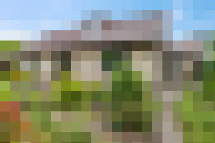 Rienderstein 9 Ede thumbnail 44