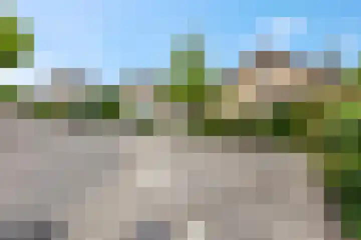 Rienderstein 9 Ede thumbnail 45