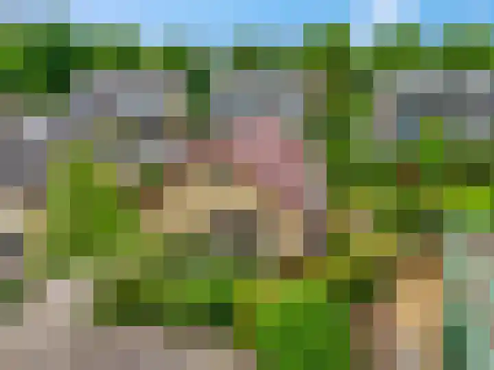 Rienderstein 9 Ede thumbnail 46